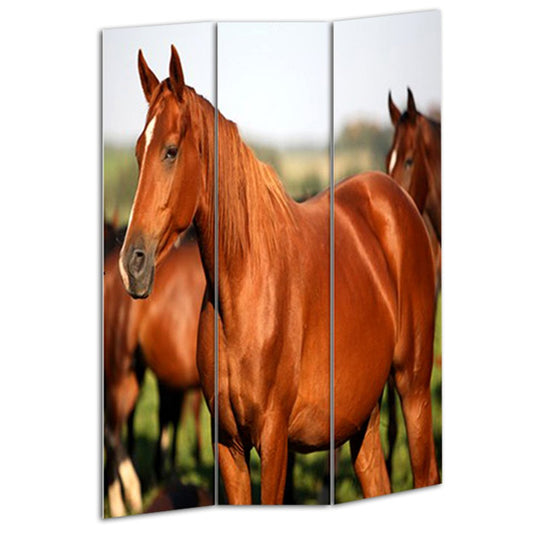 48" X 72" Multi Color Wood Canvas Horse Screen