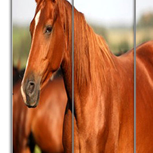 48" X 72" Multi Color Wood Canvas Horse Screen
