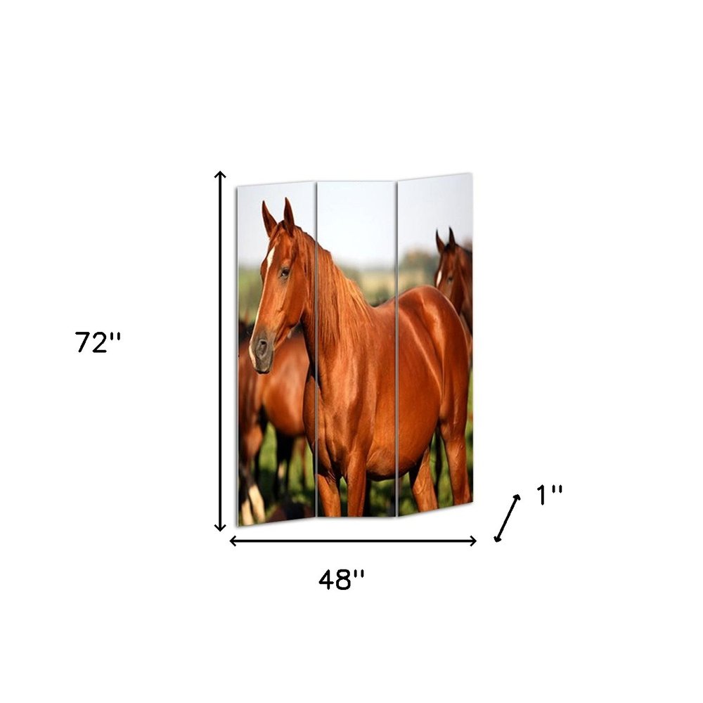 48" X 72" Multi Color Wood Canvas Horse Screen