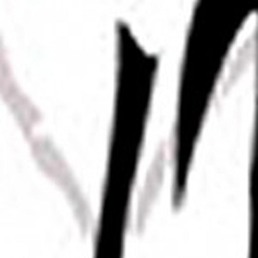 48 X 72 Multi Color Wood Canvas Bamboo Leaf Screen