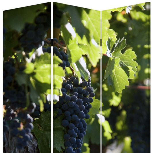 48" X 72" Multi Color Wood Canvas Wine Country Screen