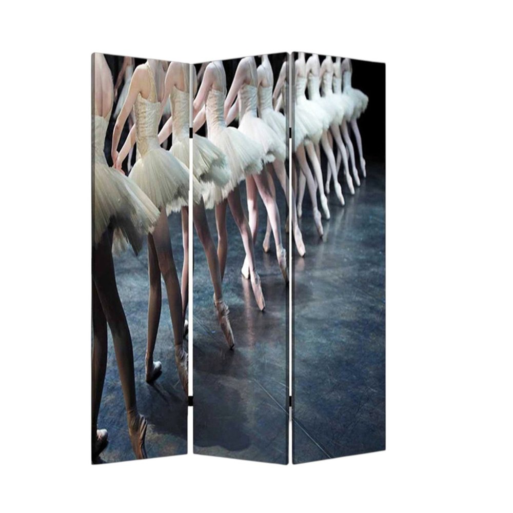 48" X 72" Multi Color Wood Canvas Ballet Screen