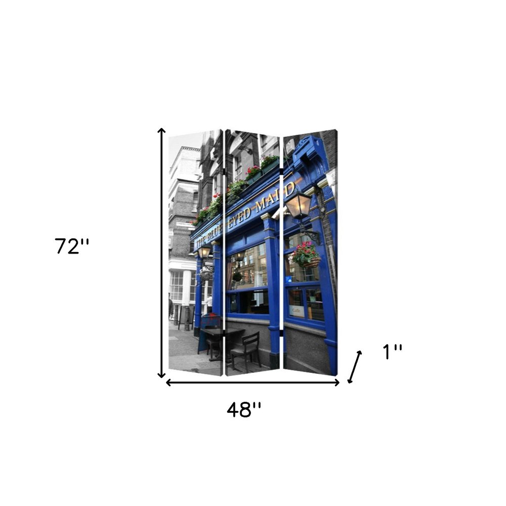 48" X 72" Multi Color Wood Canvas The Blue Eyed Screen