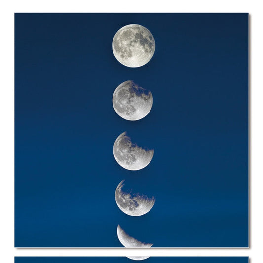 28 X 1 X 28 Acrylic Painting