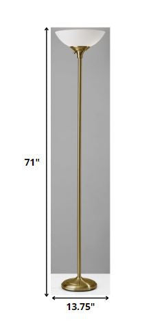 71" Black And White With White Plastic Shade