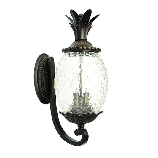 22" Black And Clear Metal and Glass Vanity Flush Mounted Sconce