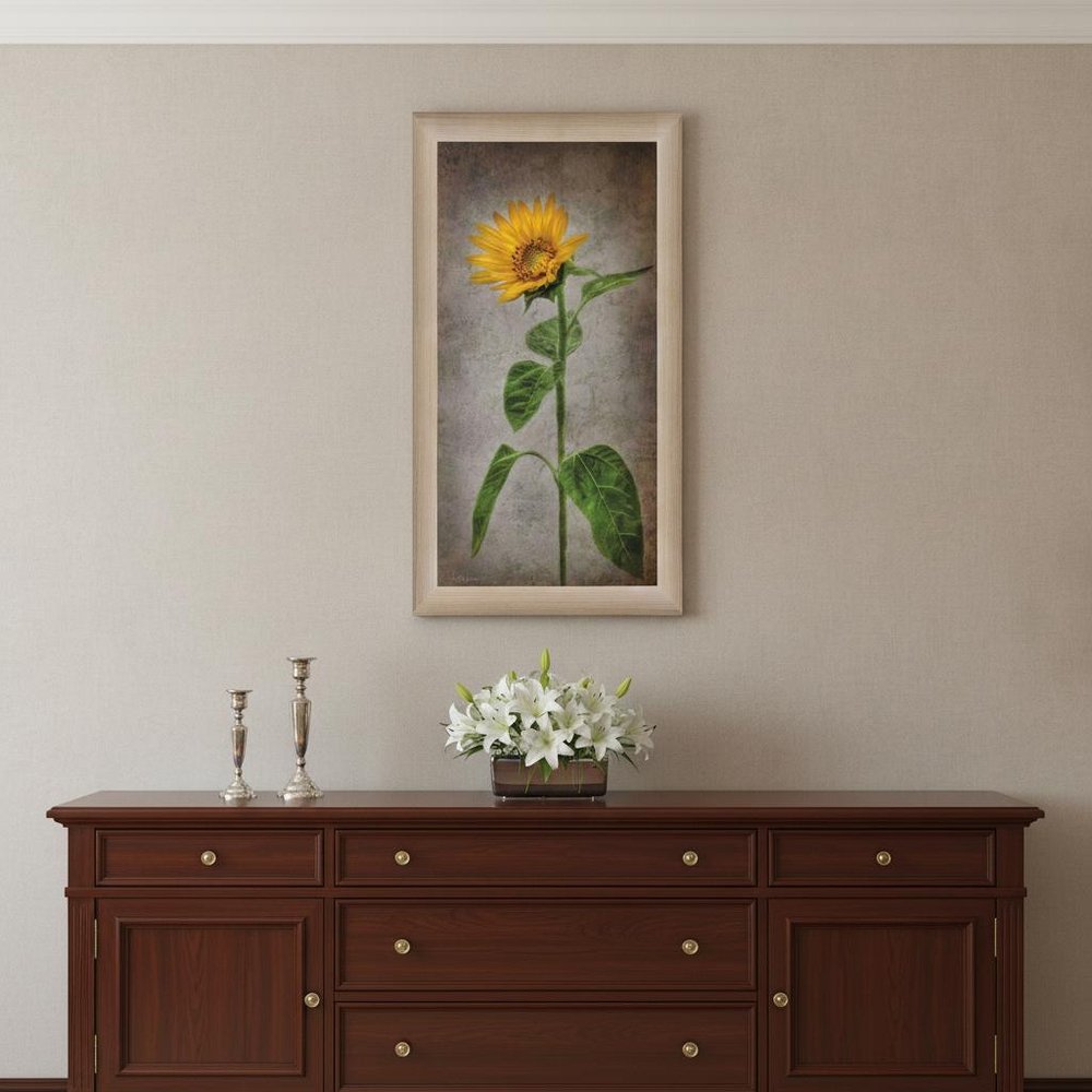 Sunflower II Brown Framed Print Wall Art