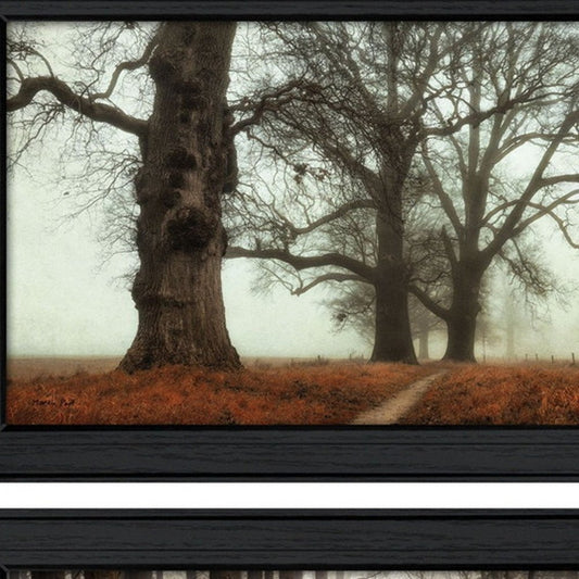 Set Of Two Misty Trees Black Framed Wall Art