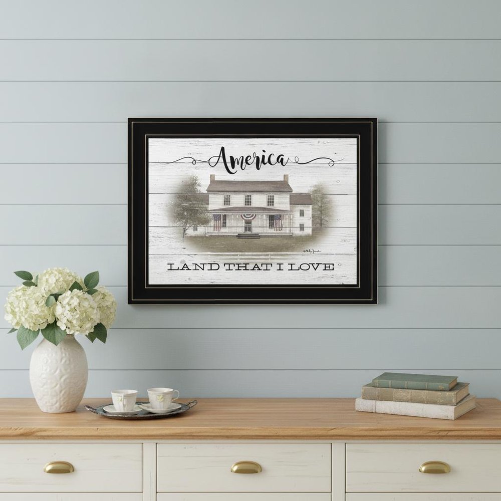 America 2 Black Framed Print Wall Art