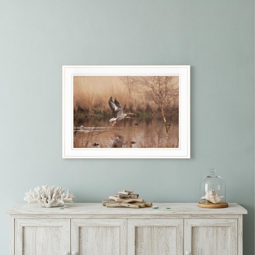Fly Away 4 White Framed Print Wall Art