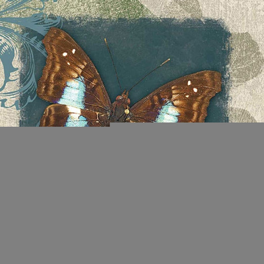 Swirl Butterfly White Framed Print Wall Art
