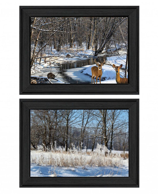 Set Of Two Great Outdoors Nature or Winter Forest 4 Black Framed Print Wall Art