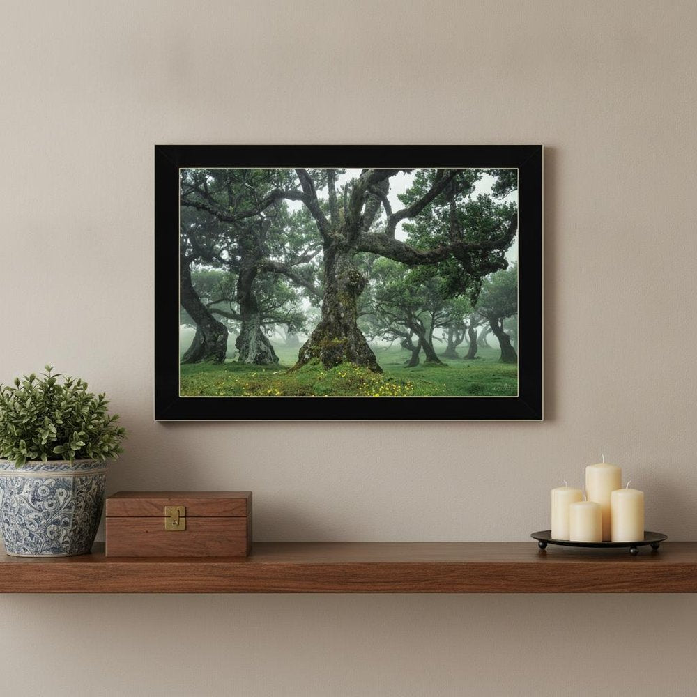 Enchanted Forest I 1 Black Framed Print Wall Art