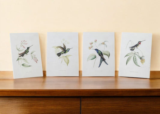 Set of Four White Hummingbird Art