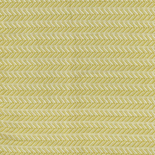 50" X 60" Green Cotton Woven Chevron Throw Blanket with Fringe