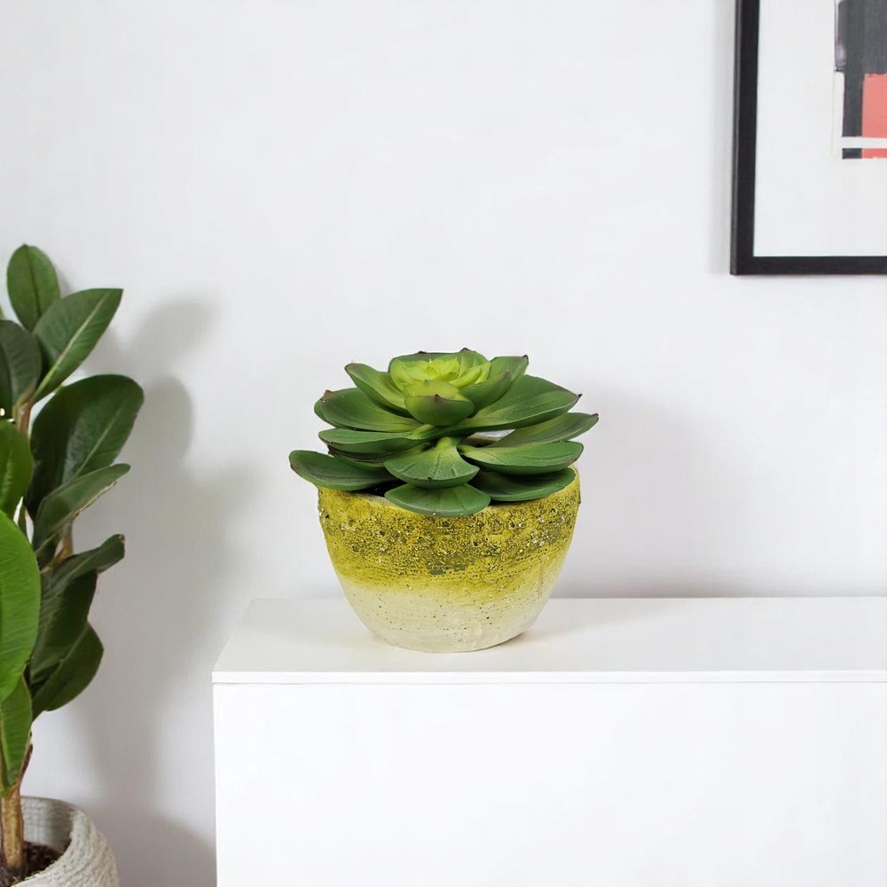 4" Green Artificial Succulent Succulent in a White And Yellow Pot