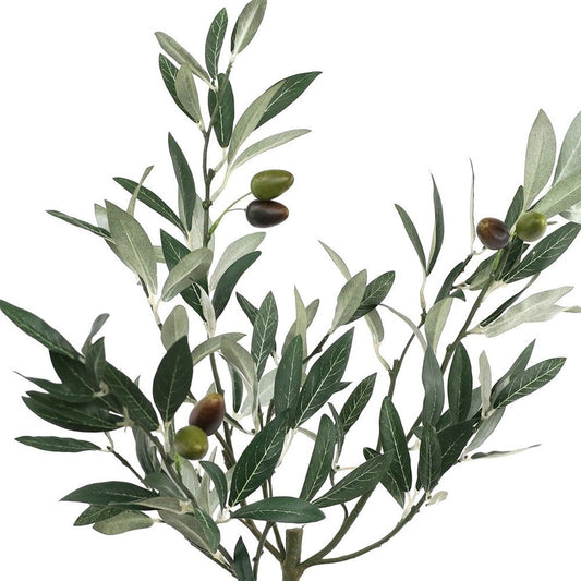 10" Green Artificial Olive In Round Terra Cotta Terracotta Pot