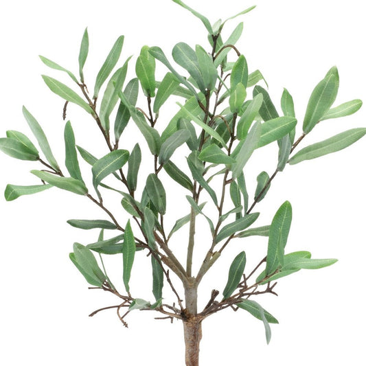 12" Green Artificial Olive In Round White Porcelain Pot