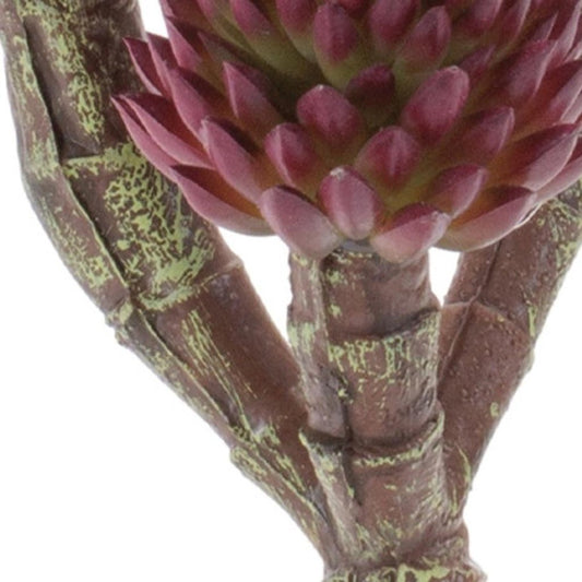 Set of Six 8" Burgundy Brown And Green Artificial Succulent