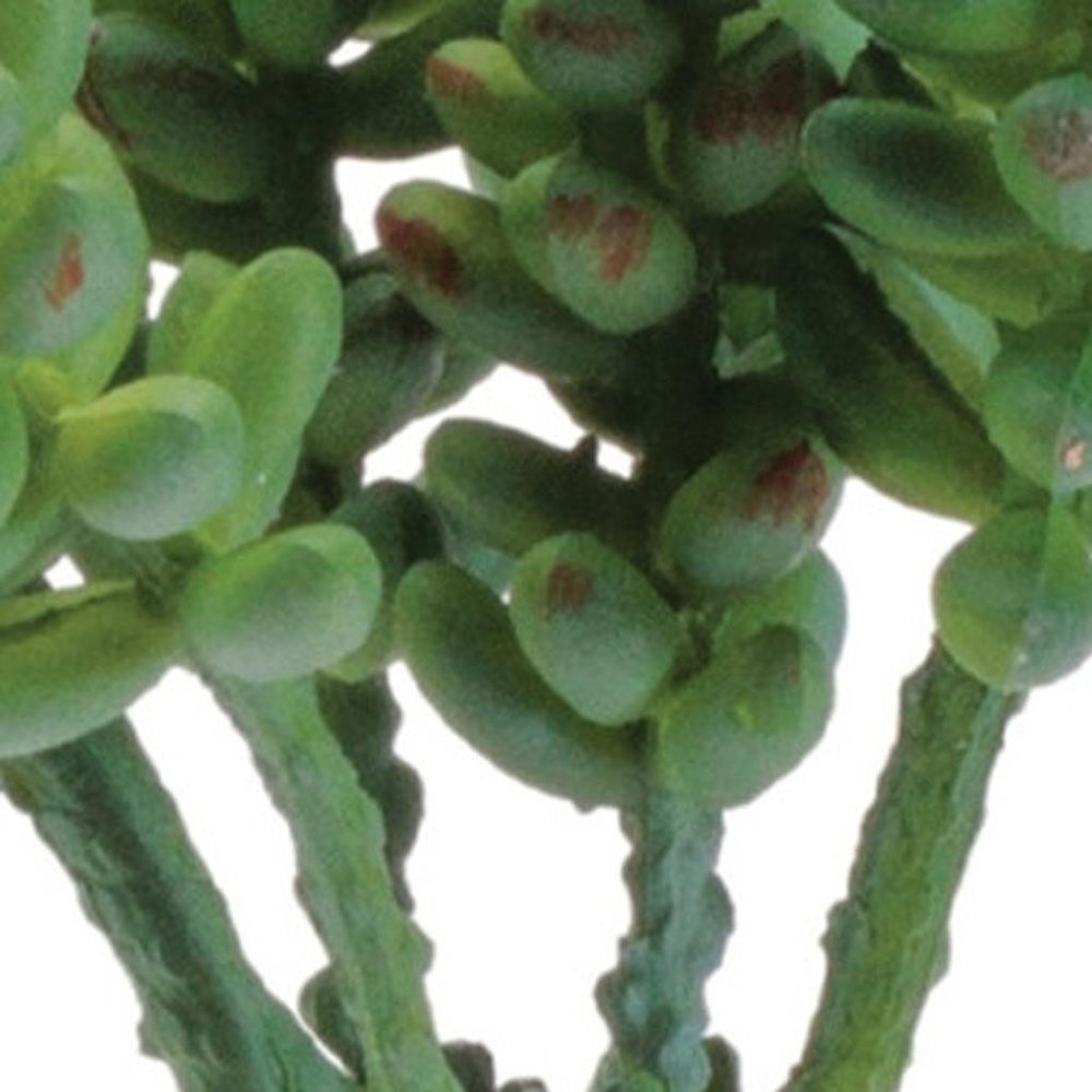 Set of Six 8" Green And Brown Artificial Succulent