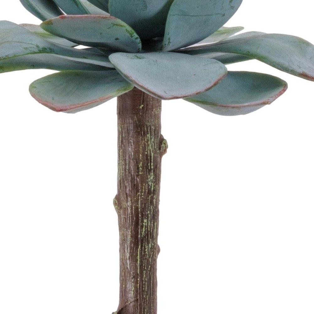 12 5" Green And Brown Artificial Succulent