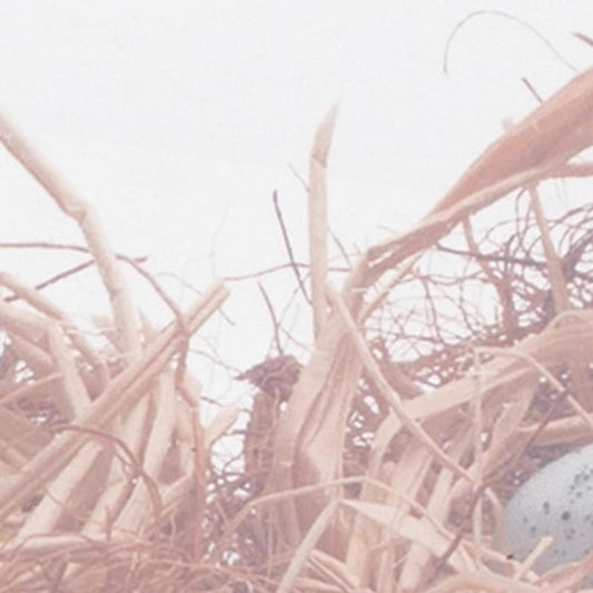 Set of Eight Brown And Blue Tabletop Sculpture