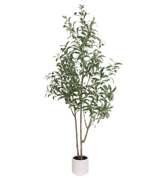 7" Green Artificial Olive In Cylindrical White Cement Pot