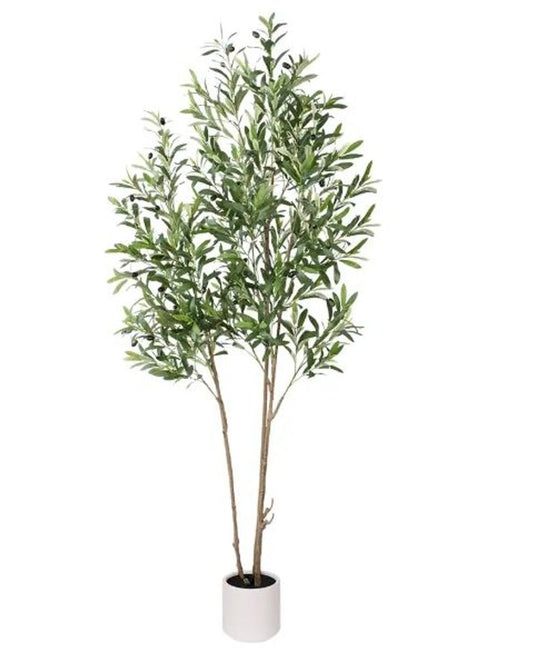 7" Green Artificial Olive In Cylindrical White Cement Pot
