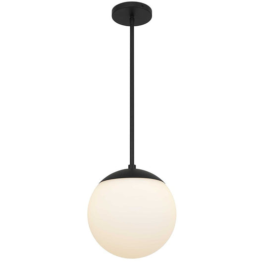 10" Black And White Frosted LED Dimmable Outdoor Globe Hanging Light