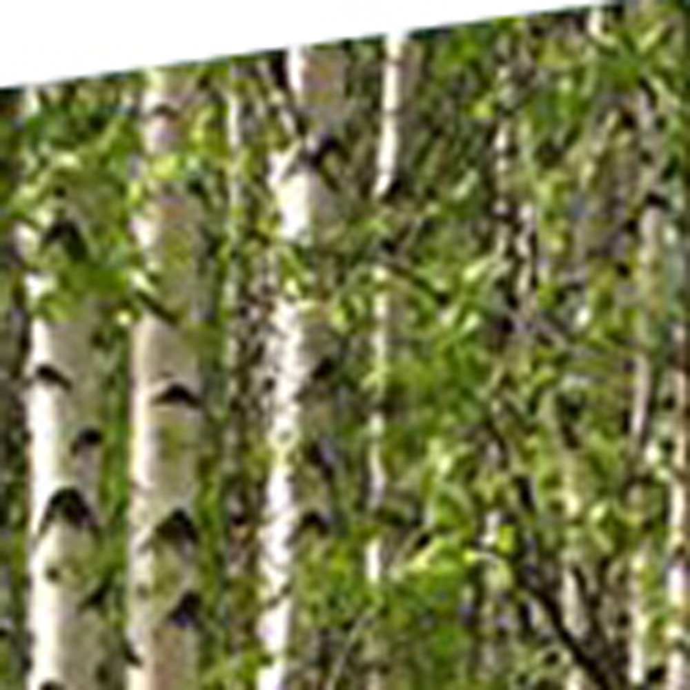 84" X 84" Multi Color Wood Canvas Prolific Forrest  Screen