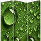 72" Green Canvas Folding Three Panel Screen Room Divider