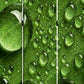 72" Green Canvas Folding Three Panel Screen Room Divider