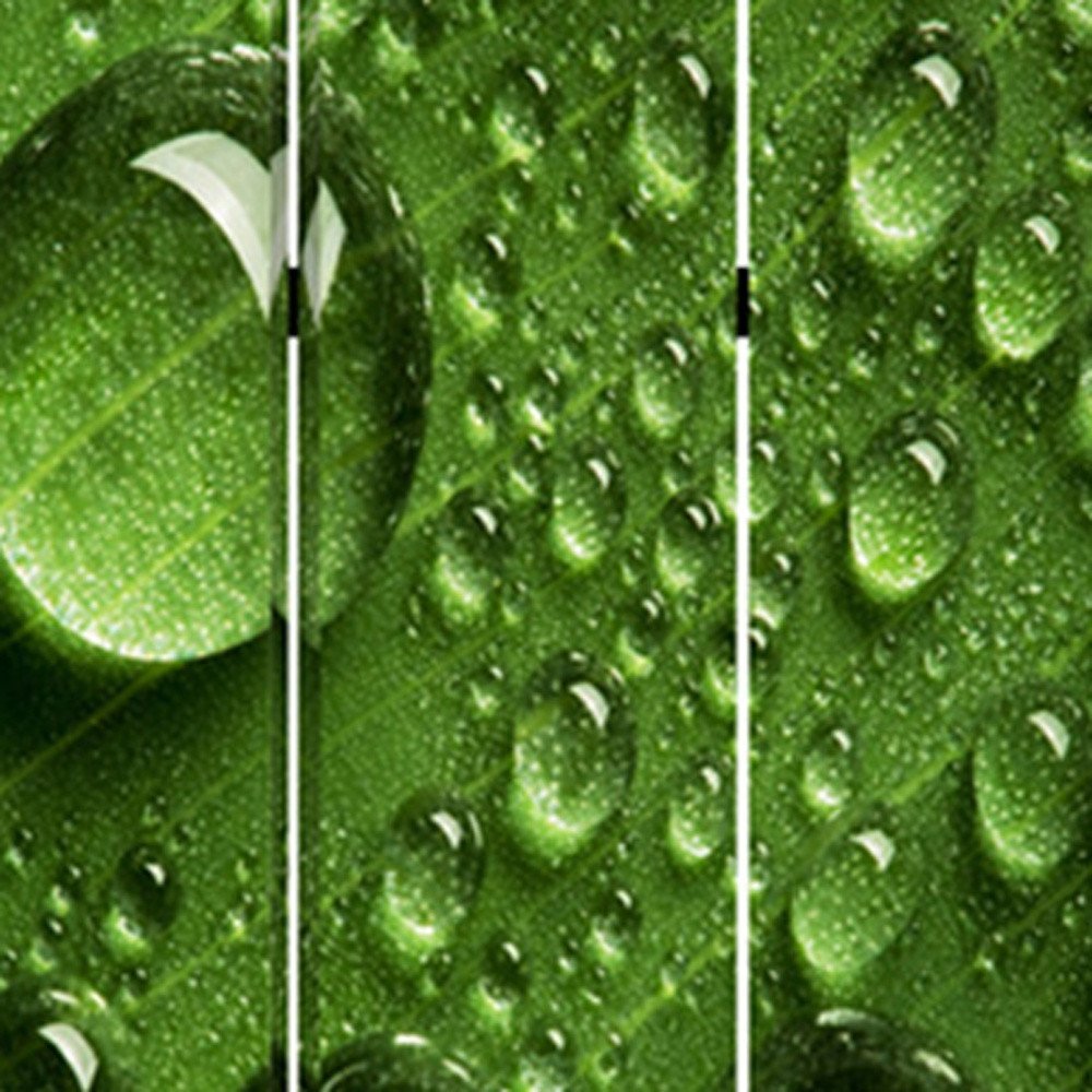 72" Green Canvas Folding Three Panel Screen Room Divider