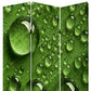 72" Green Canvas Folding Three Panel Screen Room Divider