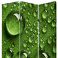 72" Green Canvas Folding Three Panel Screen Room Divider