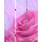 72" Pink Canvas Folding Three Panel Screen Room Divider