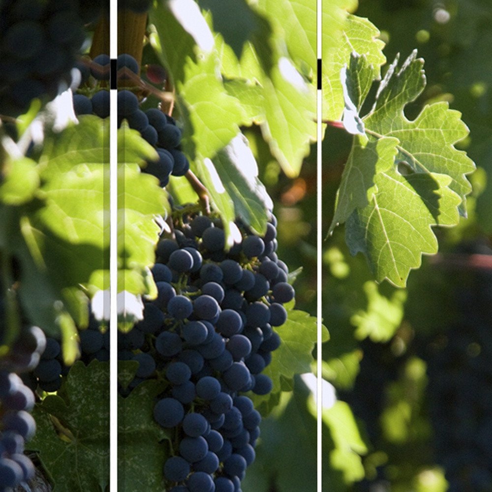 72" Green Canvas Folding Three Panel Screen Room Divider