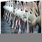 72" Black Canvas Folding Three Panel Screen Room Divider