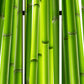 72" Green Canvas Folding Three Panel Screen Room Divider