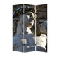 72" Gray Canvas Folding Three Panel Screen Room Divider