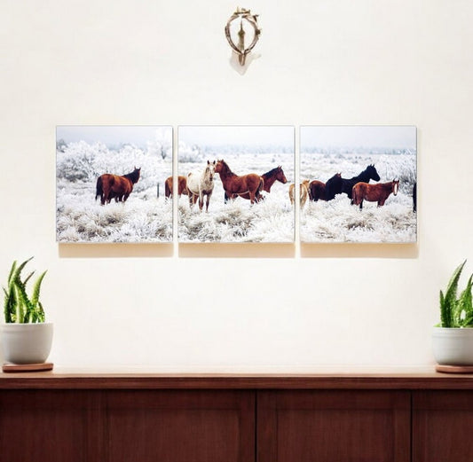 Set of Three White Canvas Square Framed Art
