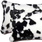 Set of Two 12" X 20" Black and White Throw Pillows