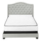 Light Gray and Gray Wood Tufted Upholstered Queen Bed Frame with Nailhead Trim