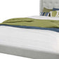Light Gray and Gray Wood Tufted Upholstered Queen Bed Frame with Nailhead Trim