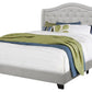 Light Gray and Gray Wood Tufted Upholstered Queen Bed Frame with Nailhead Trim