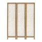 71" Clear Folding Three Panel Screen Room Divider