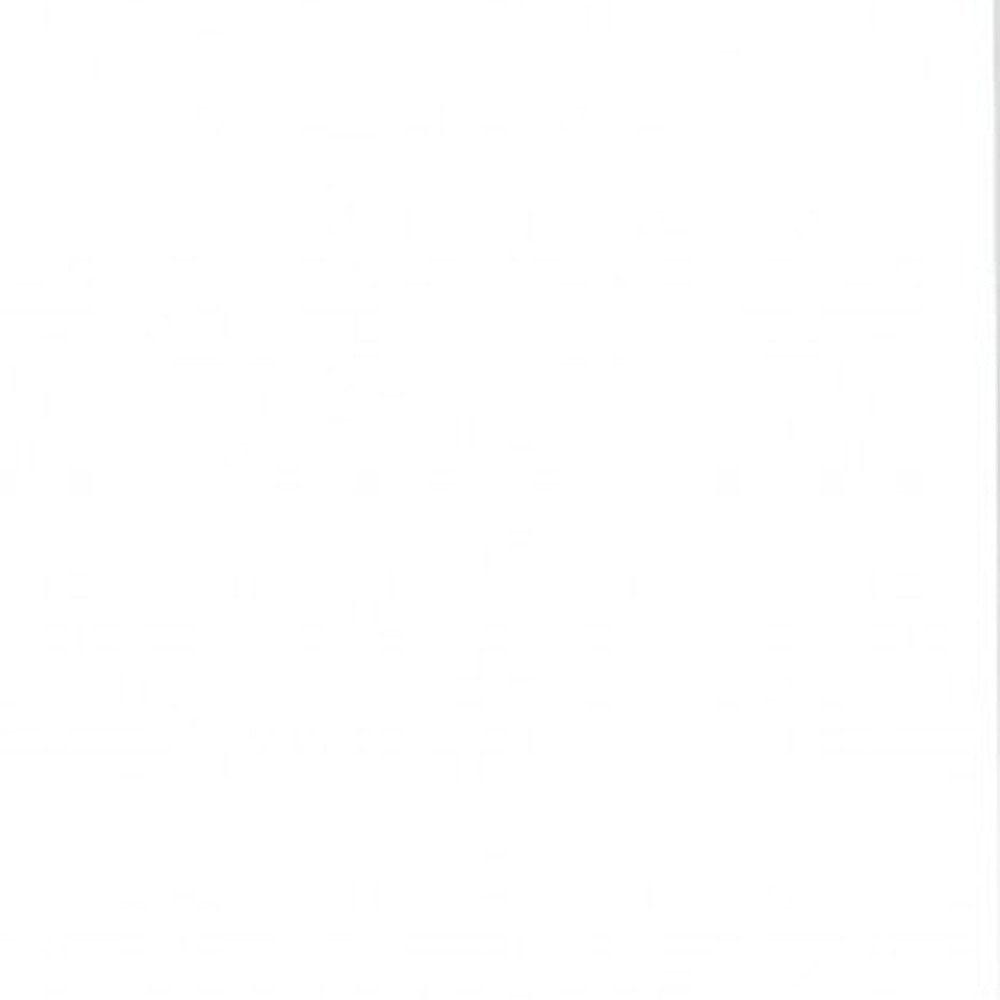 White Wood Twin Canopy Bed Frame