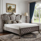Gray Queen Tufted Upholstered Velvet Bed Frame with Nailhead Trim