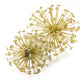 Set of Two Gold Cast Iron Decorative Spiky Sphere Tabletop Sculptures