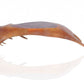 12" Brown Antler Resin Serving Tray